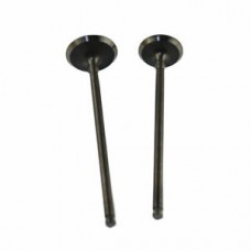 GPR 250 Valves