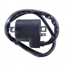 Estorm Ignition Coil