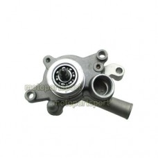 Linhai Rustler Water Pump 260cc 300cc